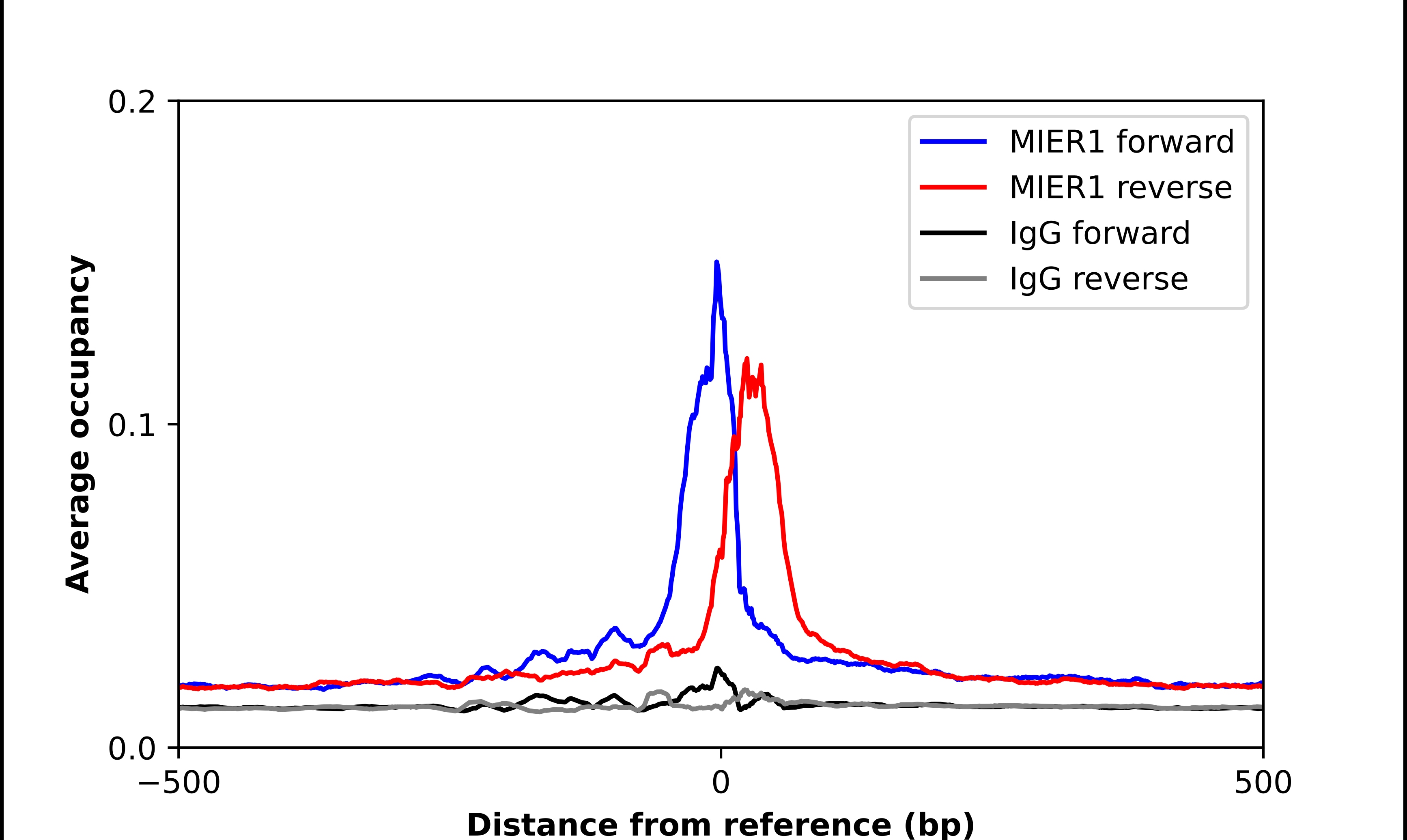 MIER1 Antibody - BSA Free Chromatin Immunoprecipitation-exo-Seq: MIER1 Antibody - BSA Free [NBP2-55642]