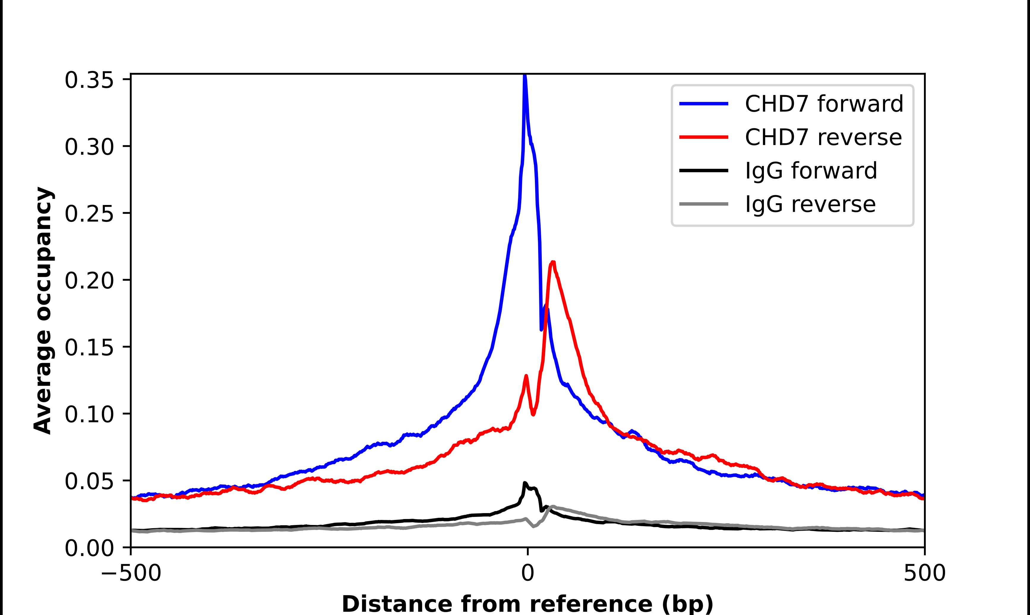 CHD7 Antibody - BSA Free Chromatin Immunoprecipitation-exo-Seq: CHD7 Antibody - BSA Free [NBP2-55672]