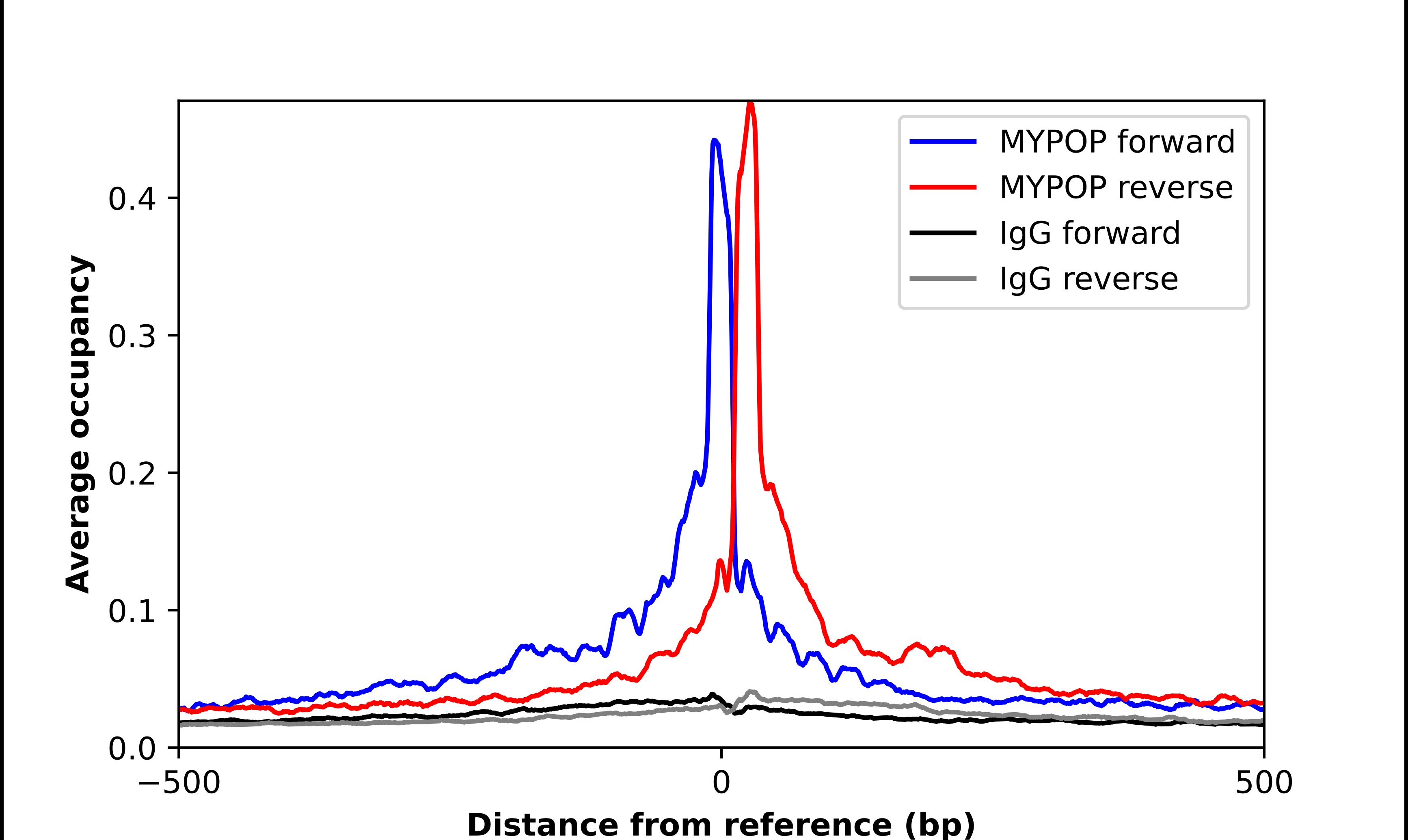 MYPOP Antibody - BSA Free Chromatin Immunoprecipitation ChIP: MYPOP Antibody - BSA Free