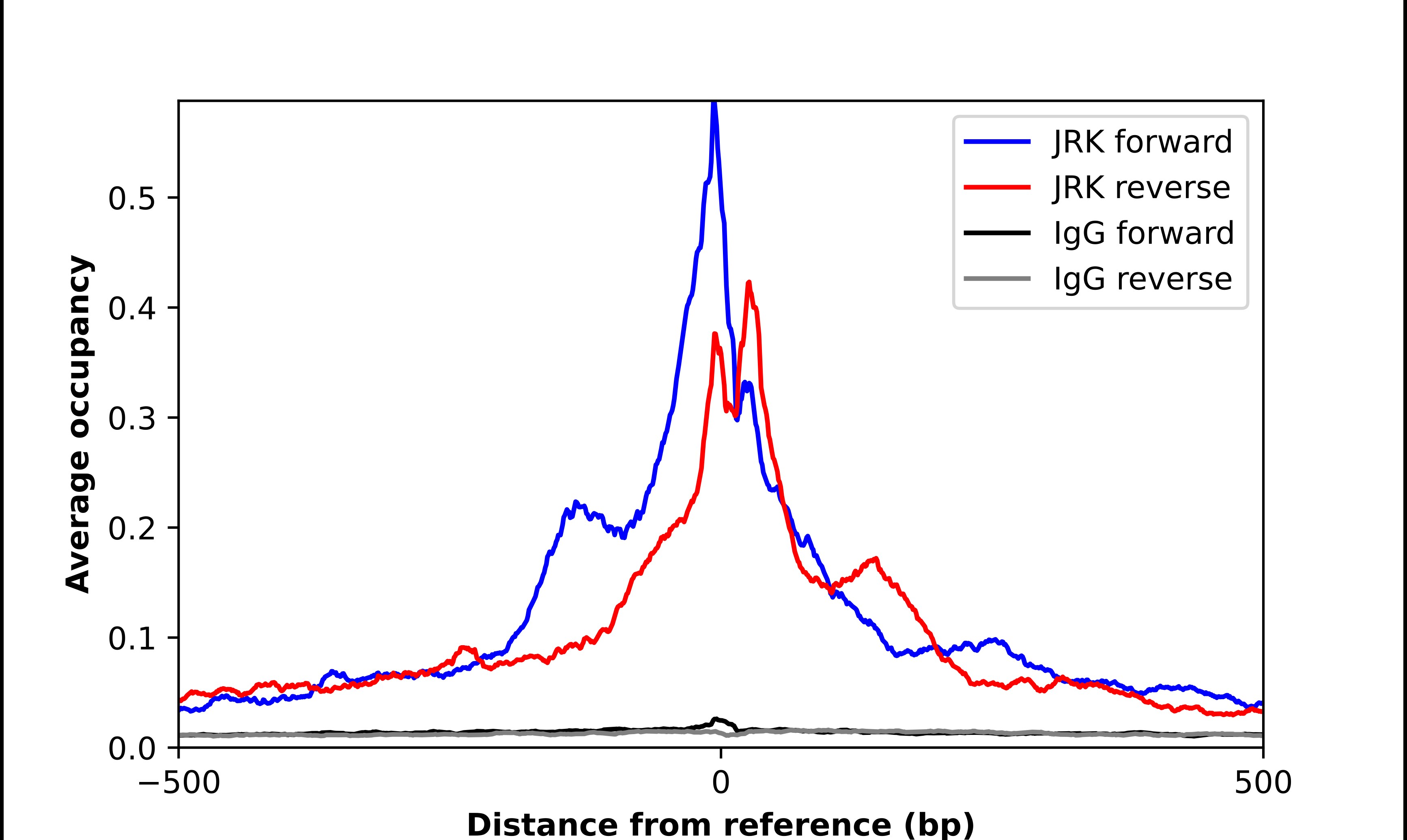 JRK Antibody - BSA Free Chromatin Immunoprecipitation ChIP: JRK Antibody - BSA Free