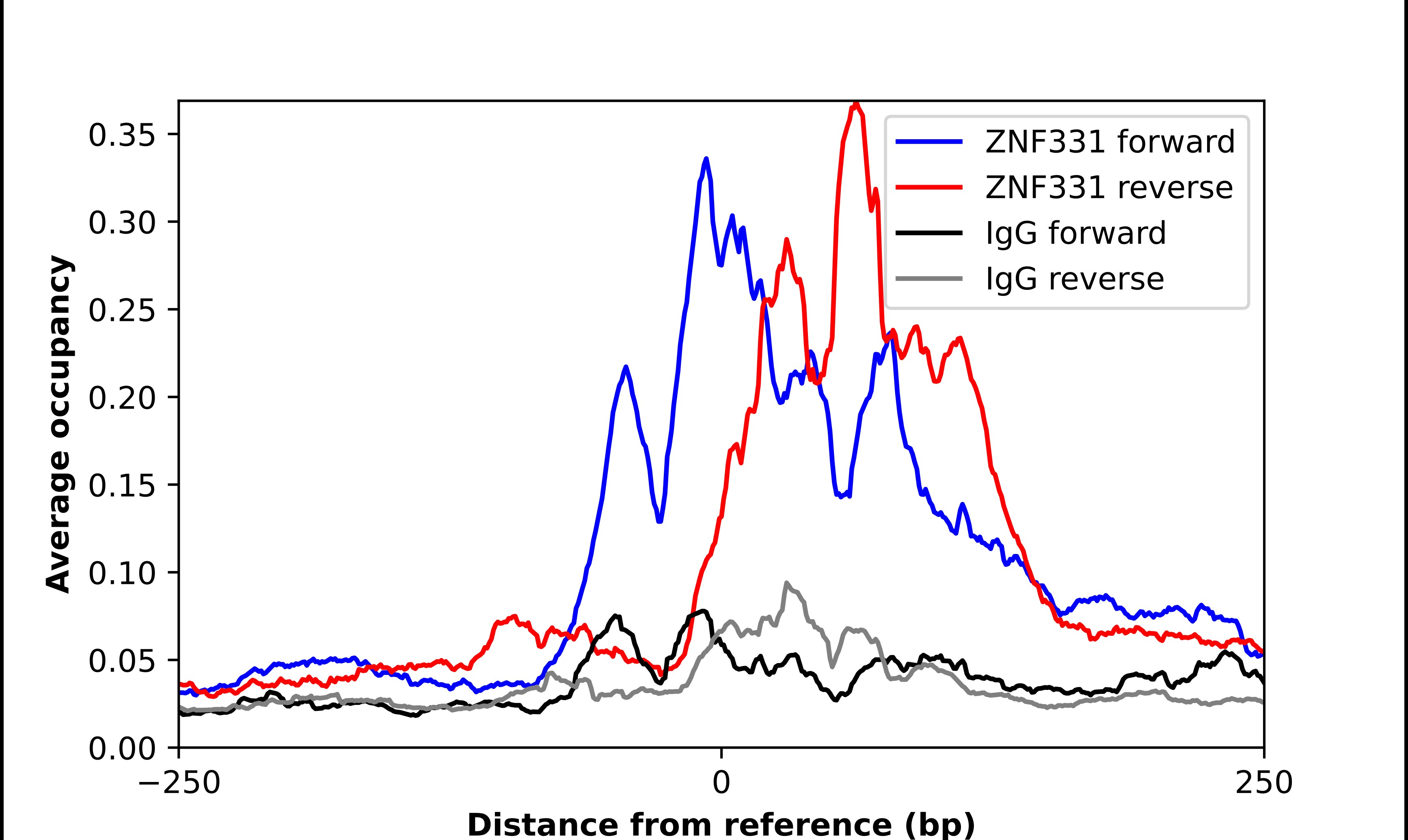 ZNF331 Antibody - BSA Free Chromatin Immunoprecipitation ChIP: ZNF331 Antibody - BSA Free