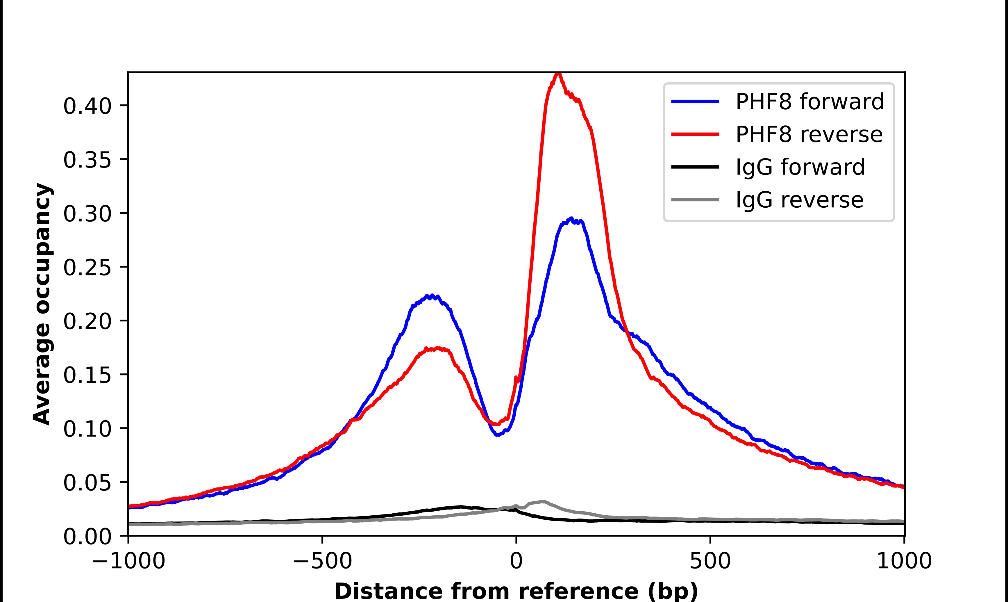 PHF8 Antibody - BSA Free Chromatin Immunoprecipitation-exo-Seq: PHF8 Antibody - BSA Free [NBP2-56147]