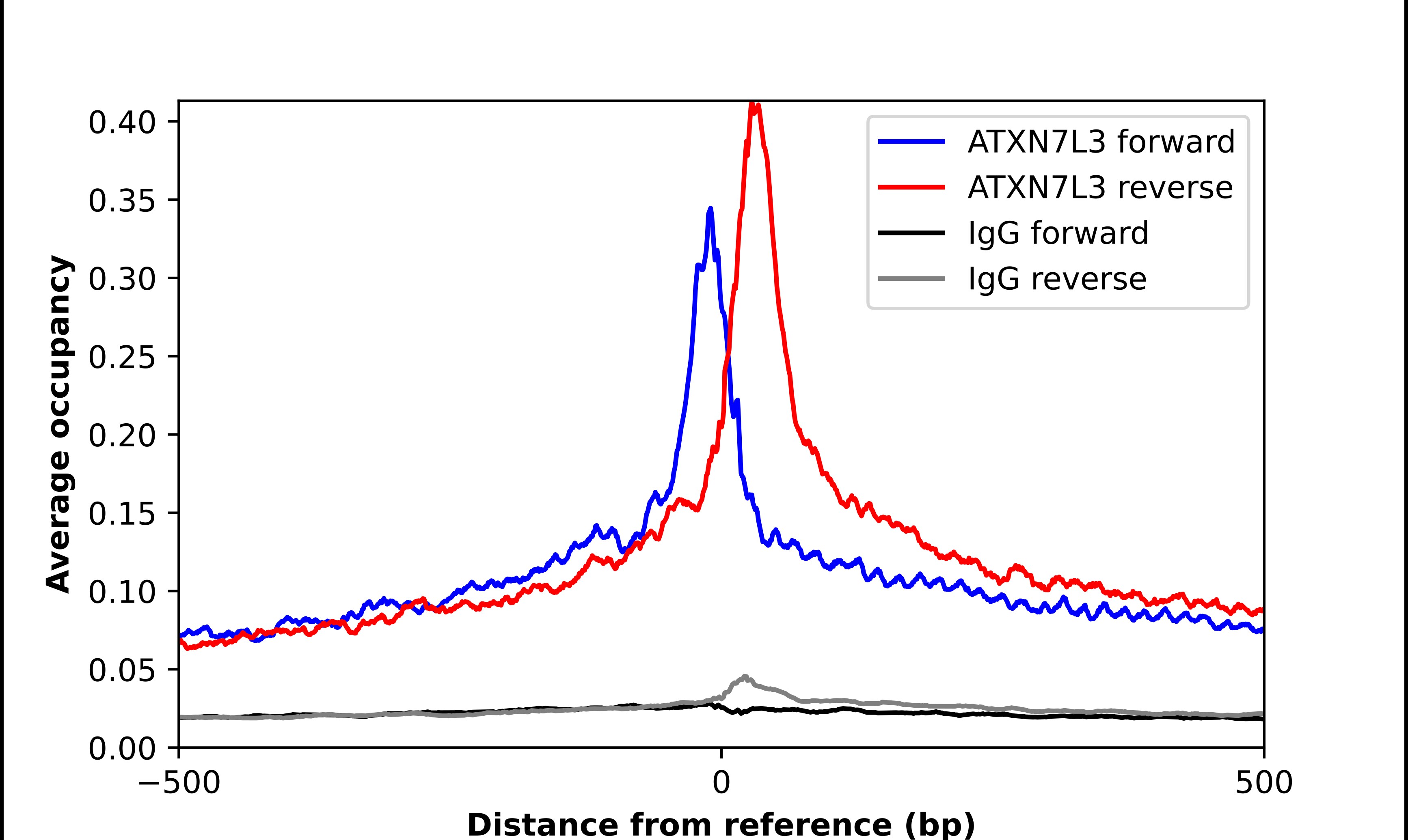 Ataxin 7-Like 3 Antibody - BSA Free Chromatin Immunoprecipitation-exo-Seq: Ataxin 7-Like 3 Antibody - BSA Free [NBP2-56183]