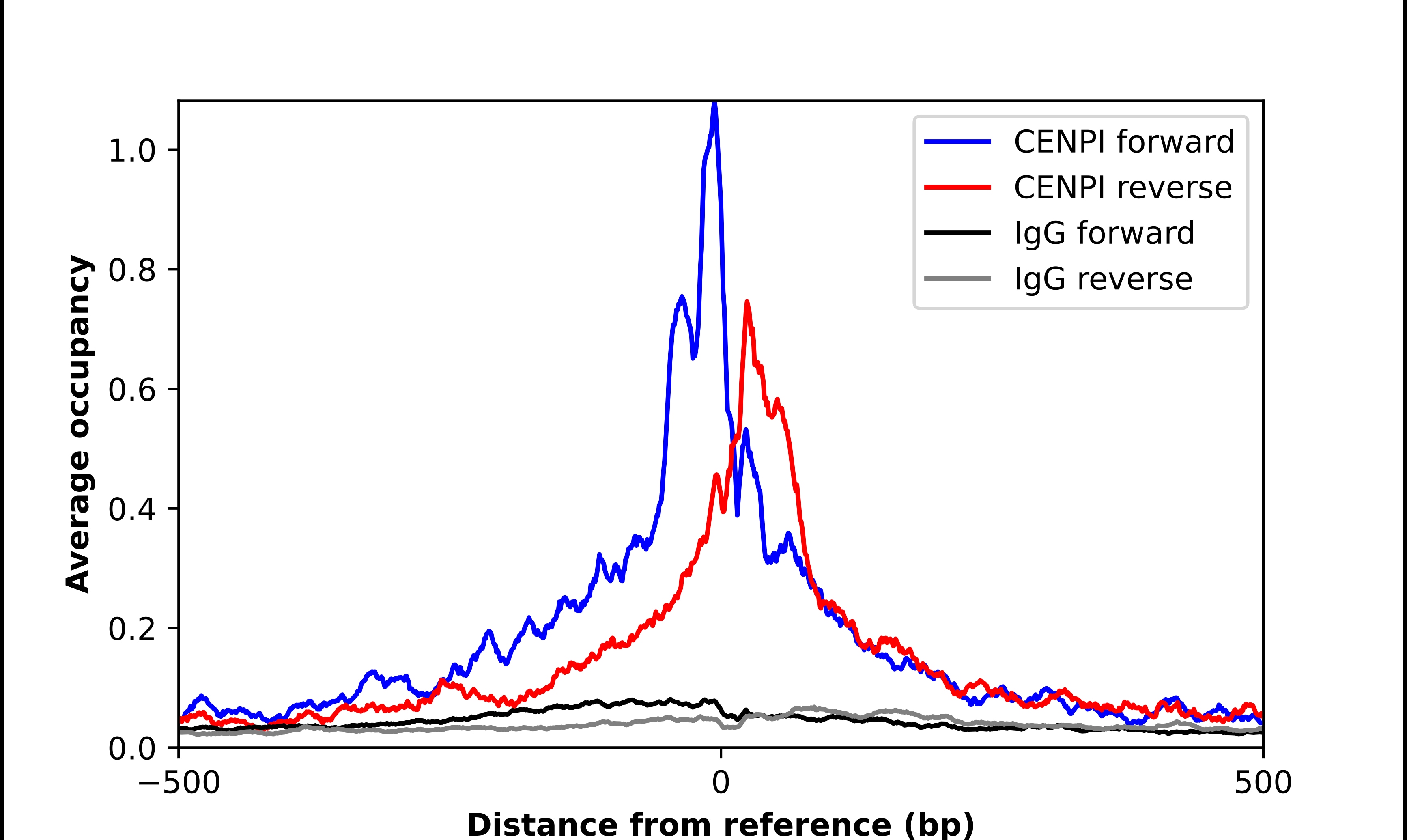 CENPI Antibody - BSA Free Chromatin Immunoprecipitation-exo-Seq: CENPI Antibody - BSA Free [NBP2-56199]