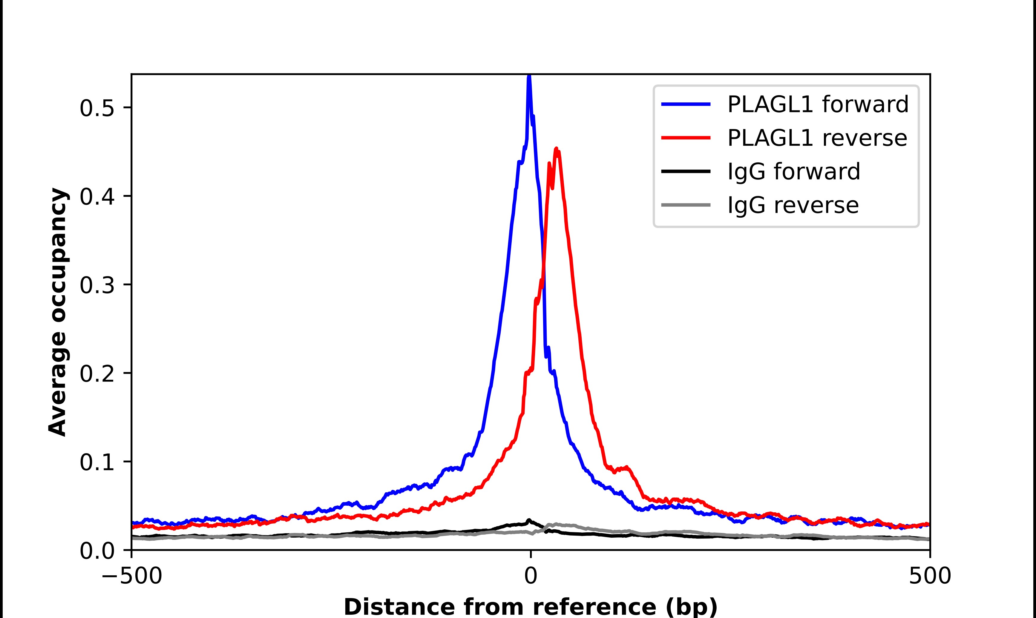 PLAGL1 Antibody - BSA Free Chromatin Immunoprecipitation-exo-Seq: PLAGL1 Antibody - BSA Free [NBP2-56498]