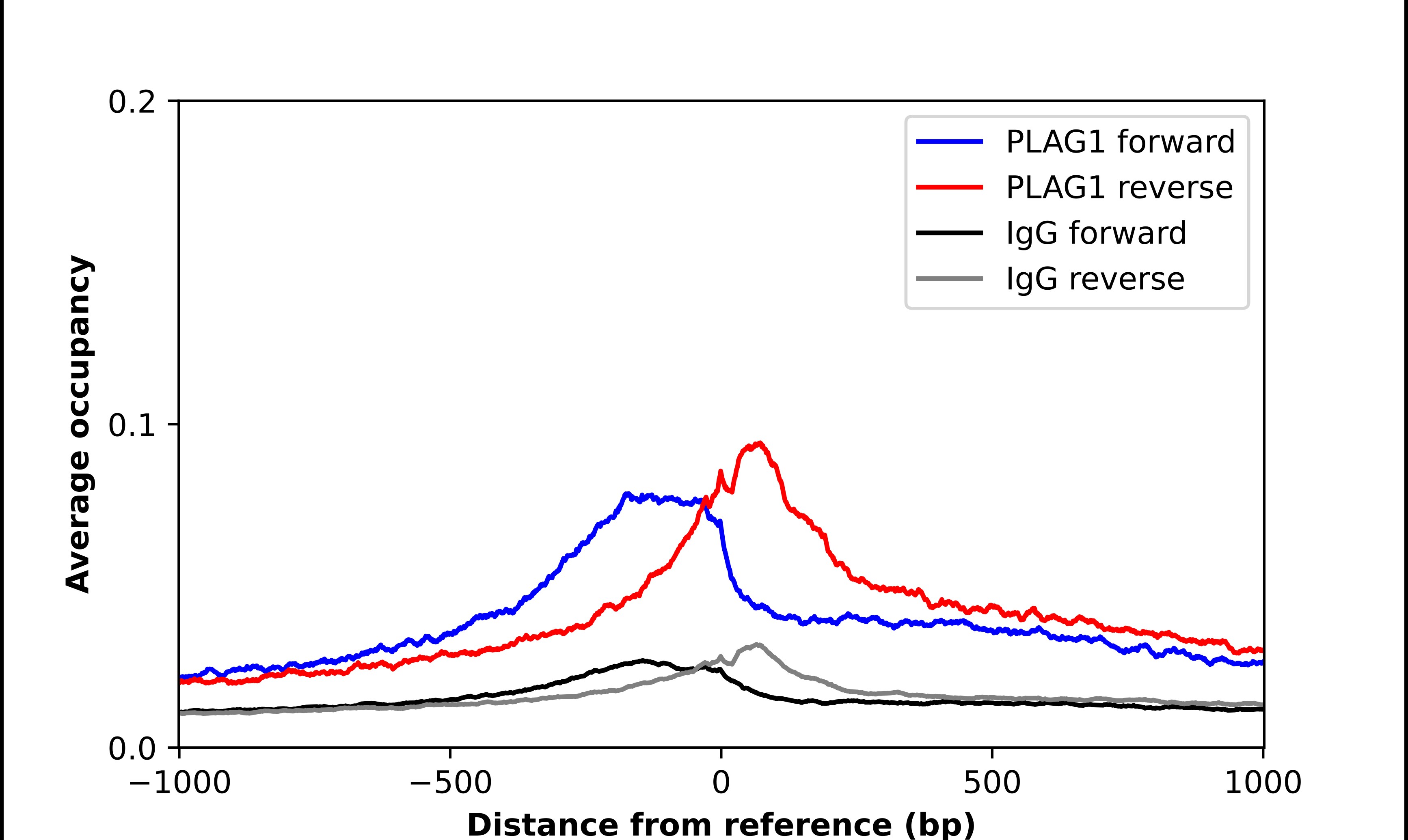 PLAG1 Antibody - BSA Free Chromatin Immunoprecipitation-exo-Seq: PLAG1 Antibody - BSA Free [NBP2-56656]