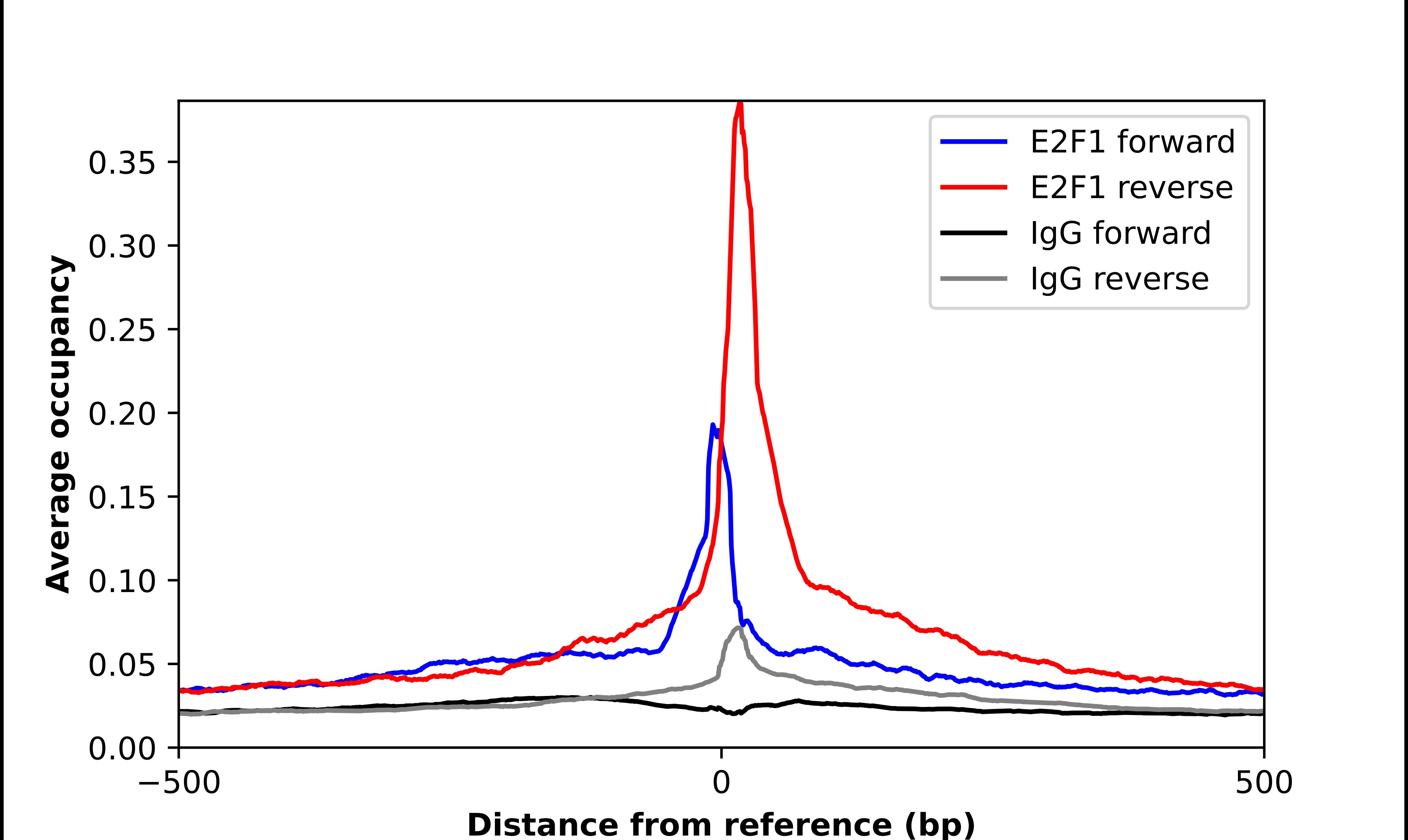 E2F-1 Antibody - BSA Free Chromatin Immunoprecipitation ChIP: E2F-1 Antibody - BSA Free