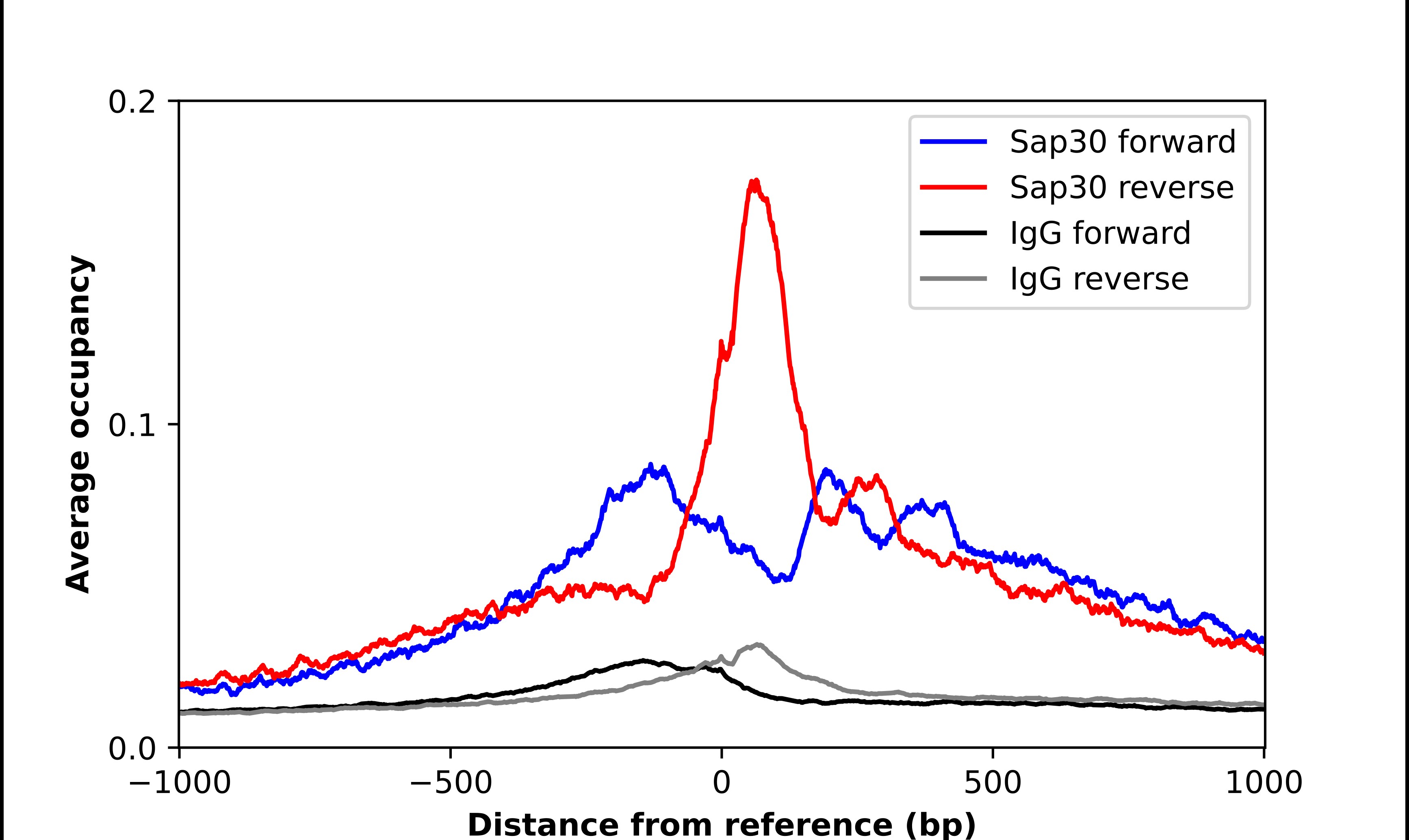 SAP30 Antibody - BSA Free Chromatin Immunoprecipitation-exo-Seq: SAP30 Antibody - BSA Free [NBP2-56769]