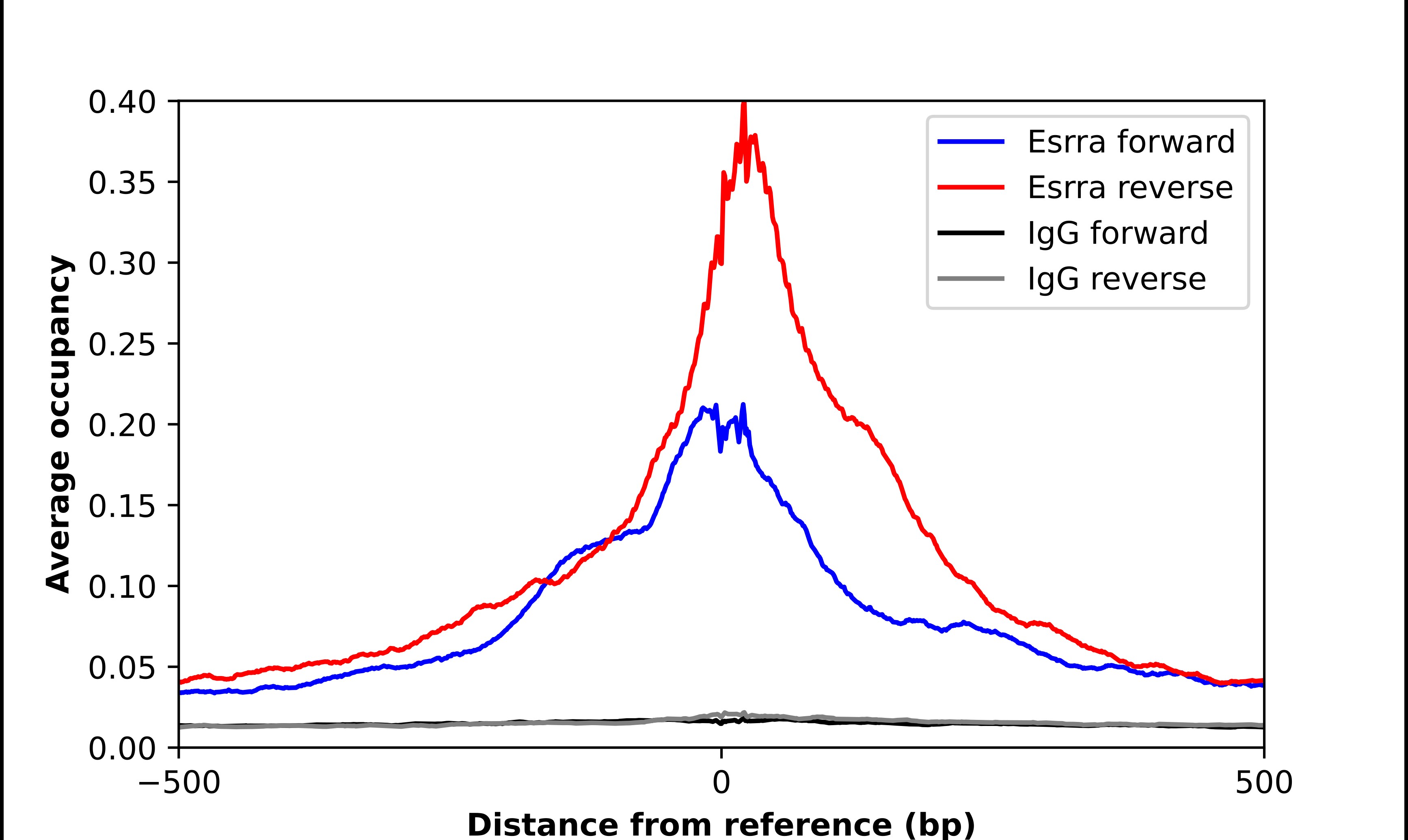 ERR alpha/NR3B1 Antibody - BSA Free Chromatin Immunoprecipitation ChIP: ERR alpha/NR3B1 Antibody - BSA Free