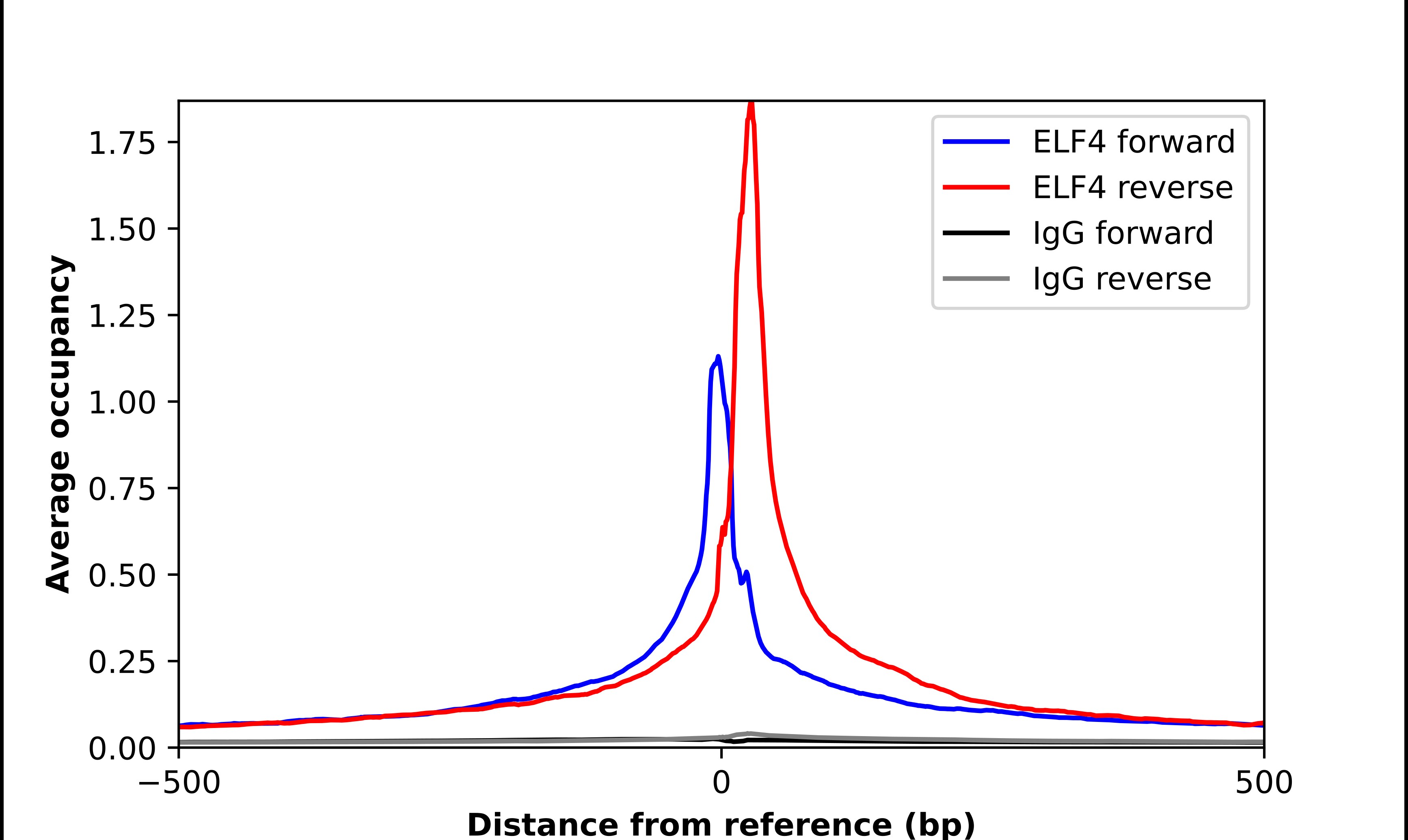 Elf4/MEF Antibody - BSA Free Chromatin Immunoprecipitation-exo-Seq: Elf4/MEF Antibody - BSA Free [NBP2-56927]