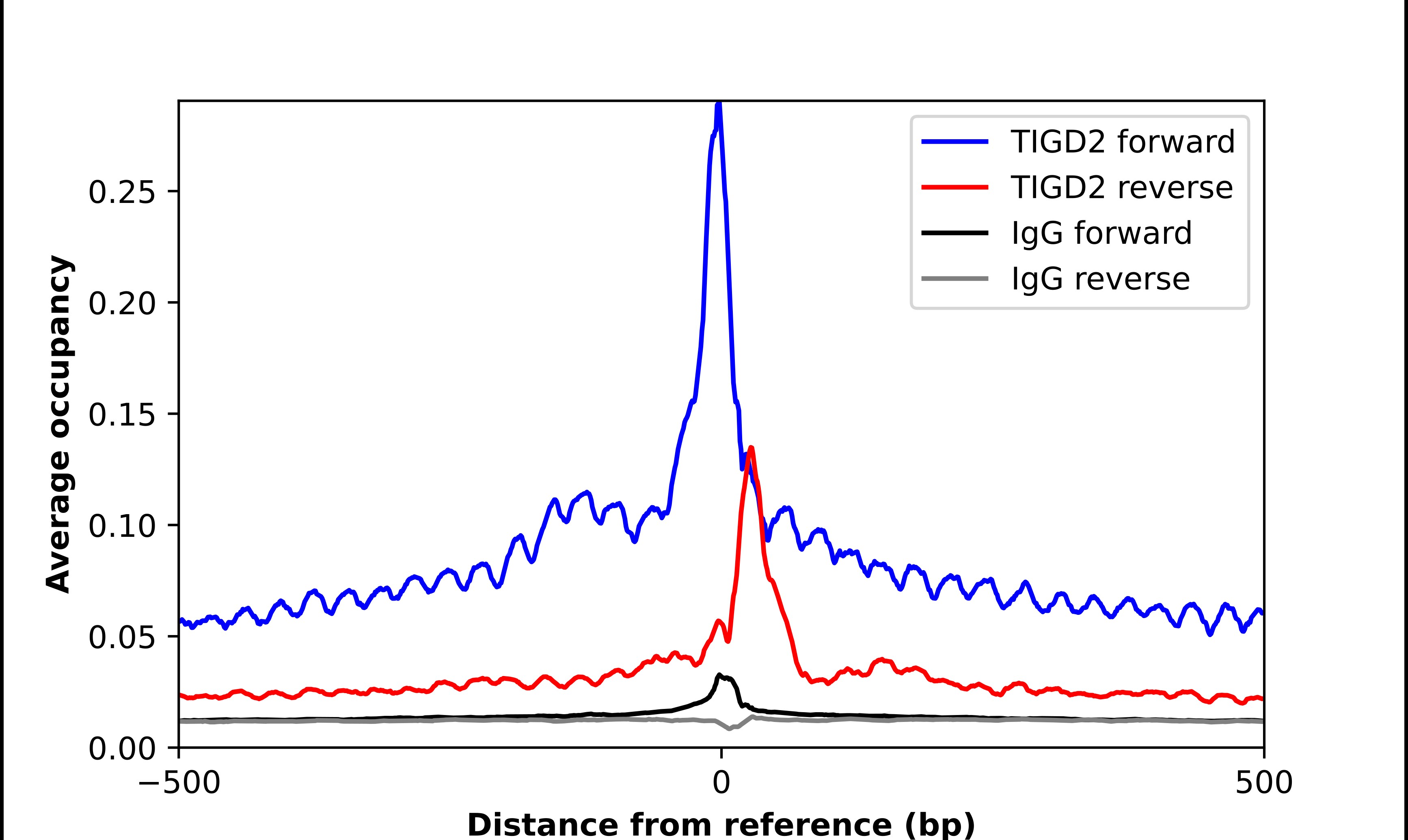 TIGD2 Antibody - BSA Free Chromatin Immunoprecipitation ChIP: TIGD2 Antibody - BSA Free