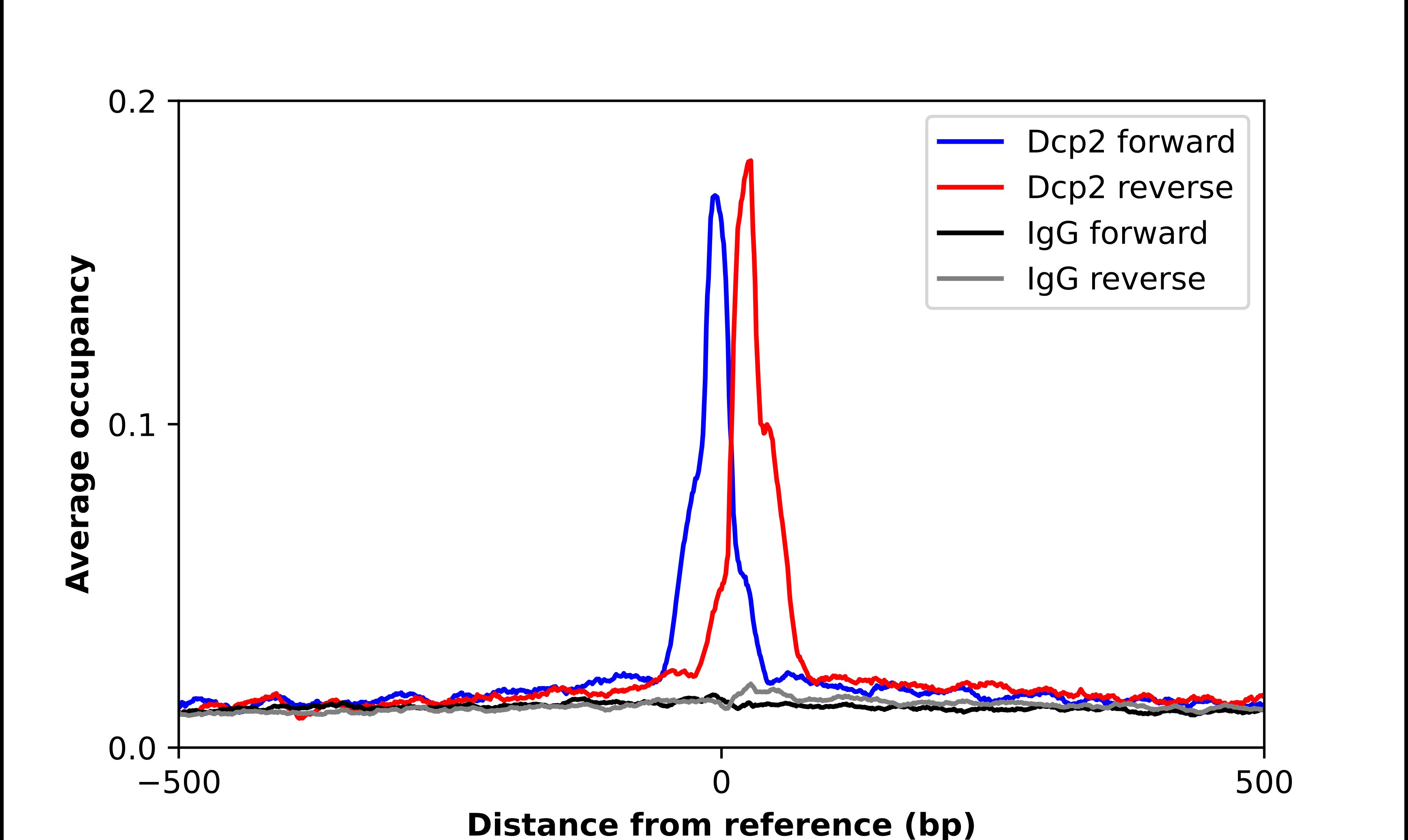 DCP2 Antibody - BSA Free Chromatin Immunoprecipitation-exo-Seq: DCP2 Antibody - BSA Free [NBP2-56996]