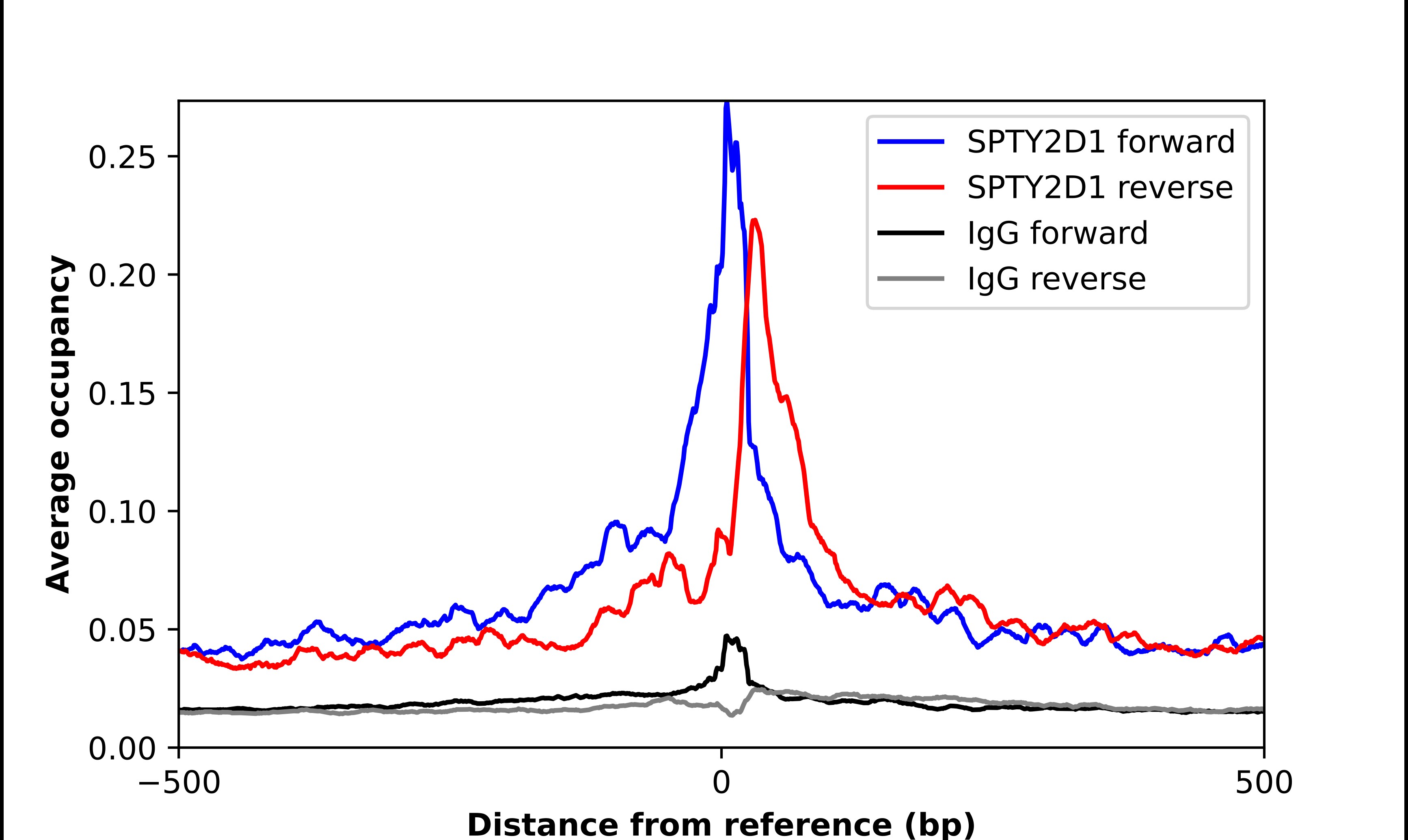 SPTY2D1 Antibody - BSA Free Chromatin Immunoprecipitation ChIP: SPTY2D1 Antibody - BSA Free