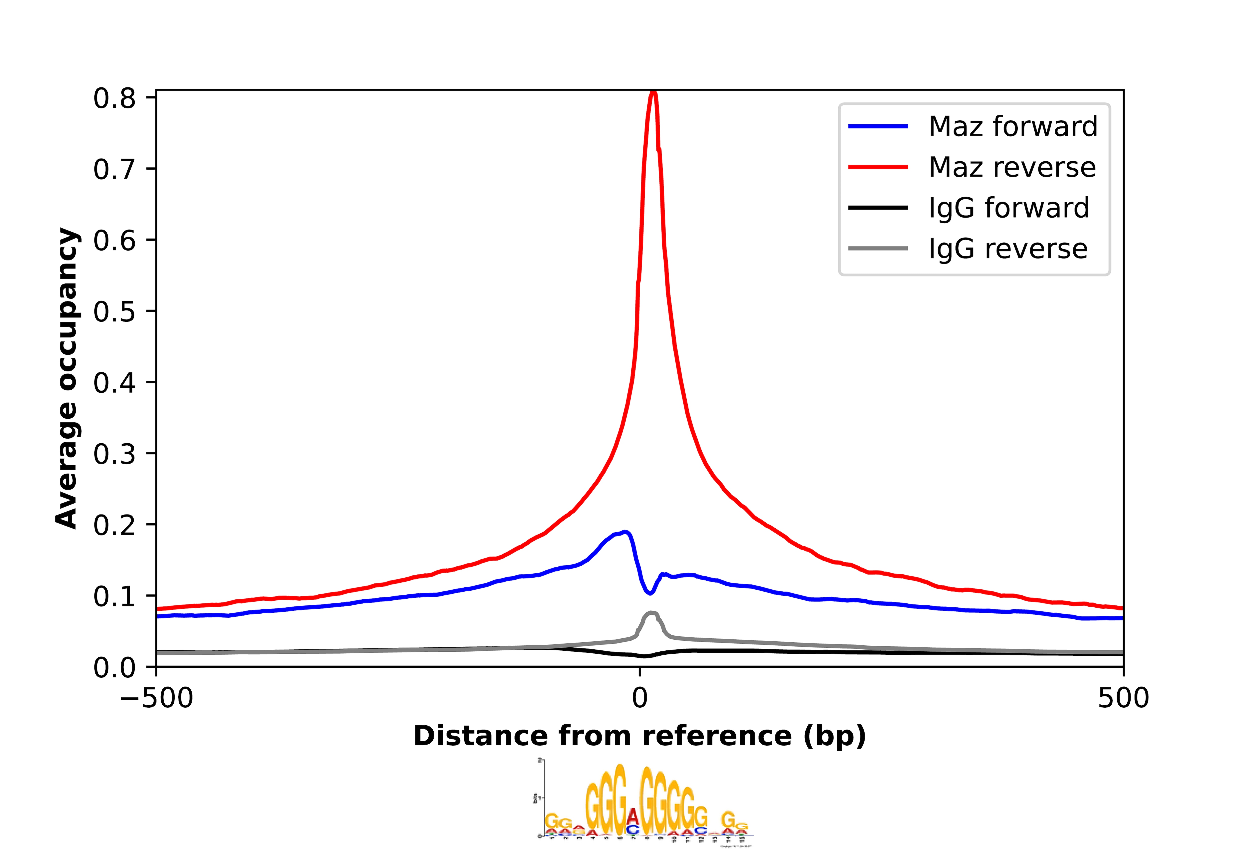 MAZ Antibody - BSA Free Chromatin Immunoprecipitation-exo-Seq: MAZ Antibody - BSA Free [NBP2-57338]