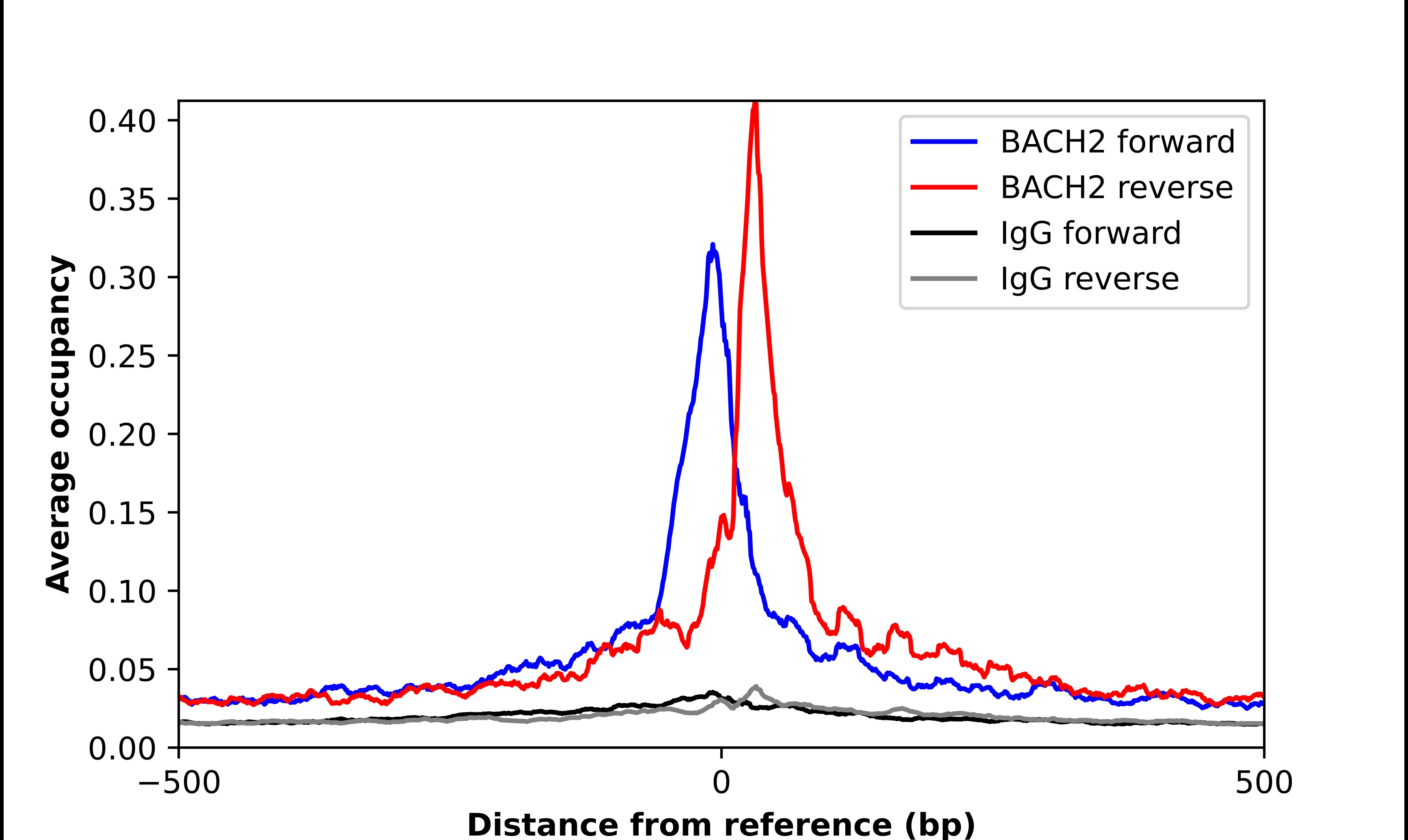 BACH2 Antibody - BSA Free Chromatin Immunoprecipitation-exo-Seq: BACH2 Antibody - BSA Free [NBP2-58464]