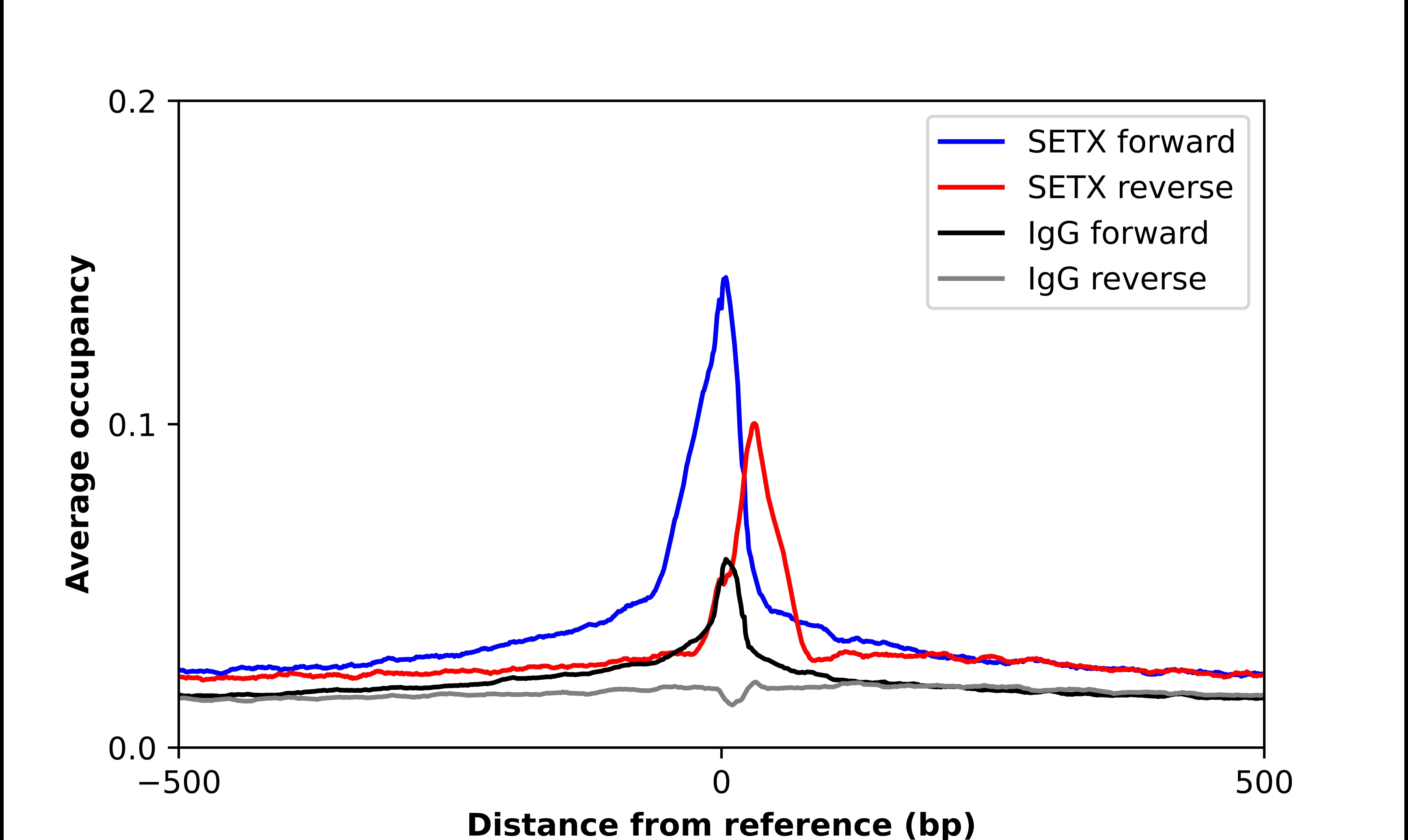 Senataxin Antibody - BSA Free Chromatin Immunoprecipitation ChIP: Senataxin Antibody - BSA Free