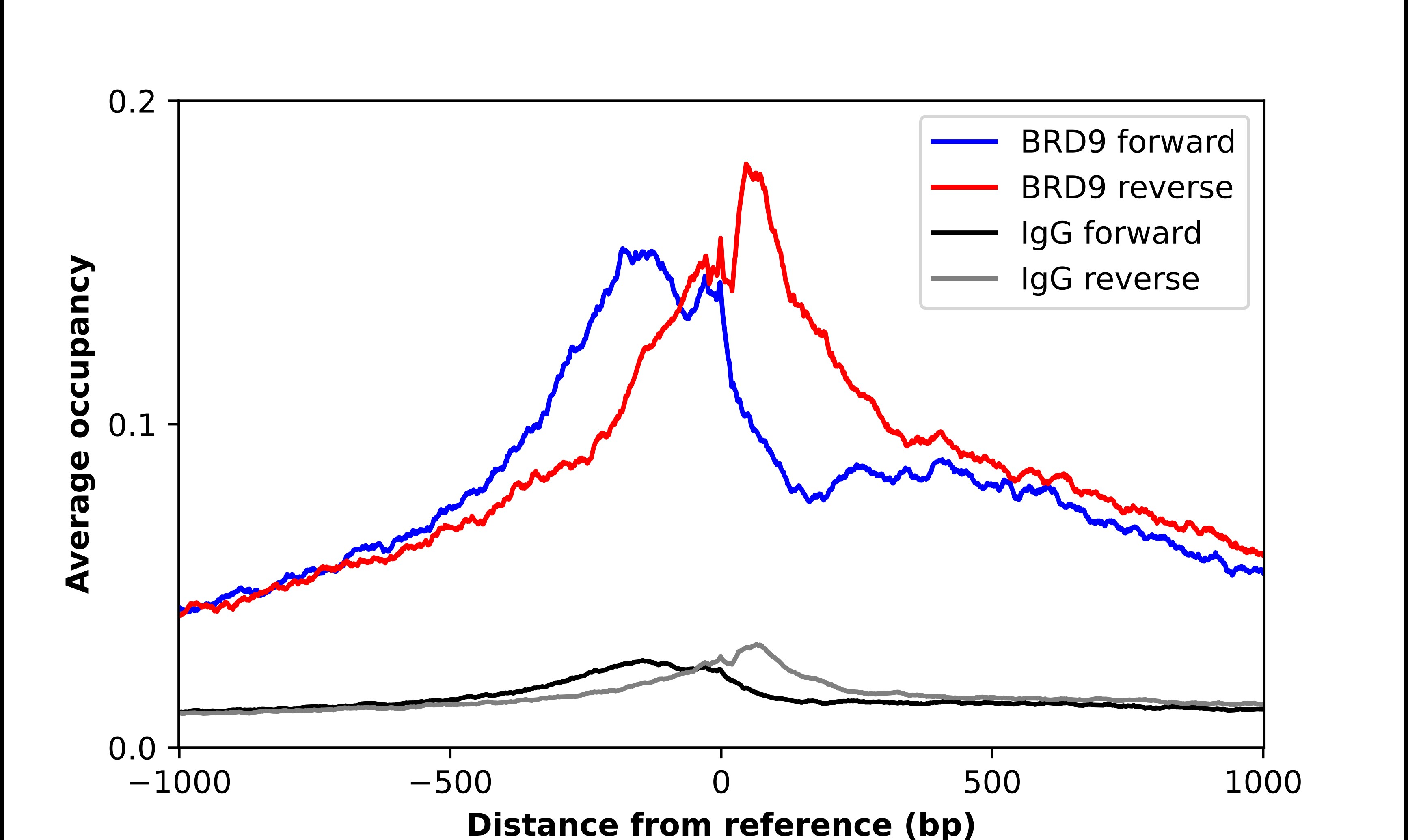 BRD9 Antibody - BSA Free Chromatin Immunoprecipitation-exo-Seq: BRD9 Antibody - BSA Free [NBP2-58517]