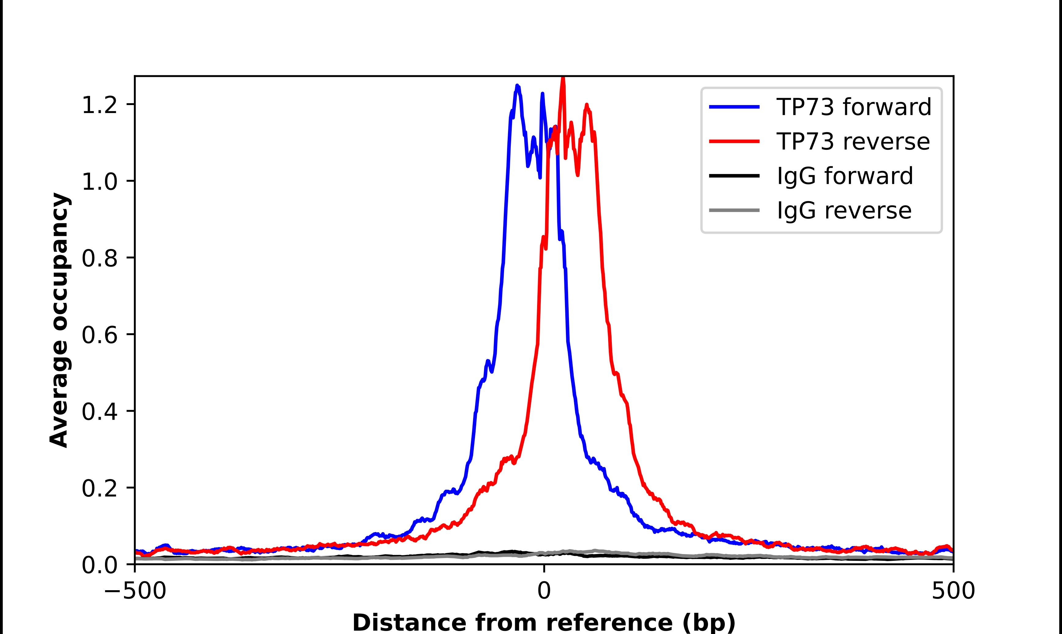 p73 Antibody - BSA Free Chromatin Immunoprecipitation-exo-Seq: p73 Antibody - BSA Free [NBP2-58523]