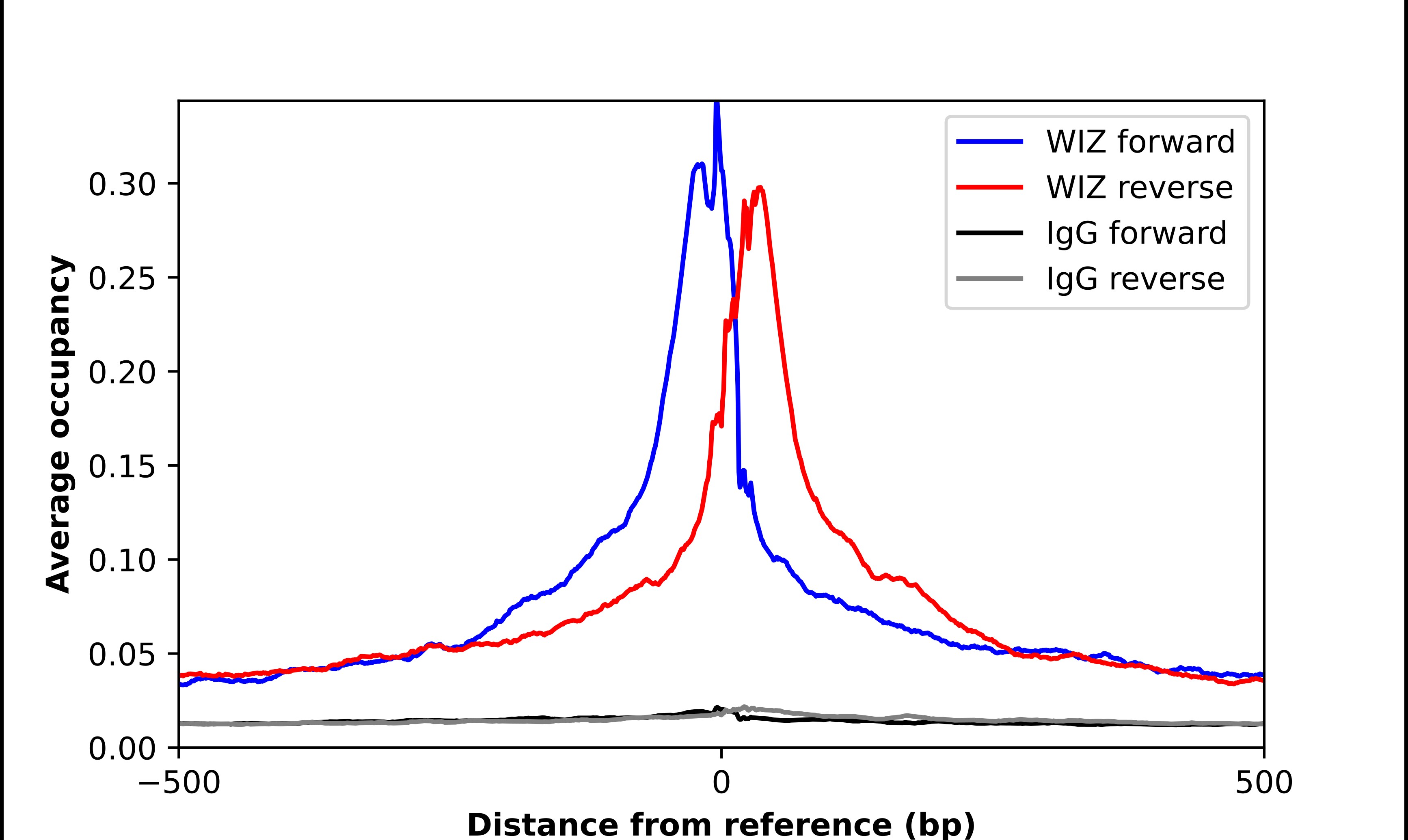 WIZ Antibody - BSA Free Chromatin Immunoprecipitation-exo-Seq: WIZ Antibody - BSA Free [NBP2-58557]