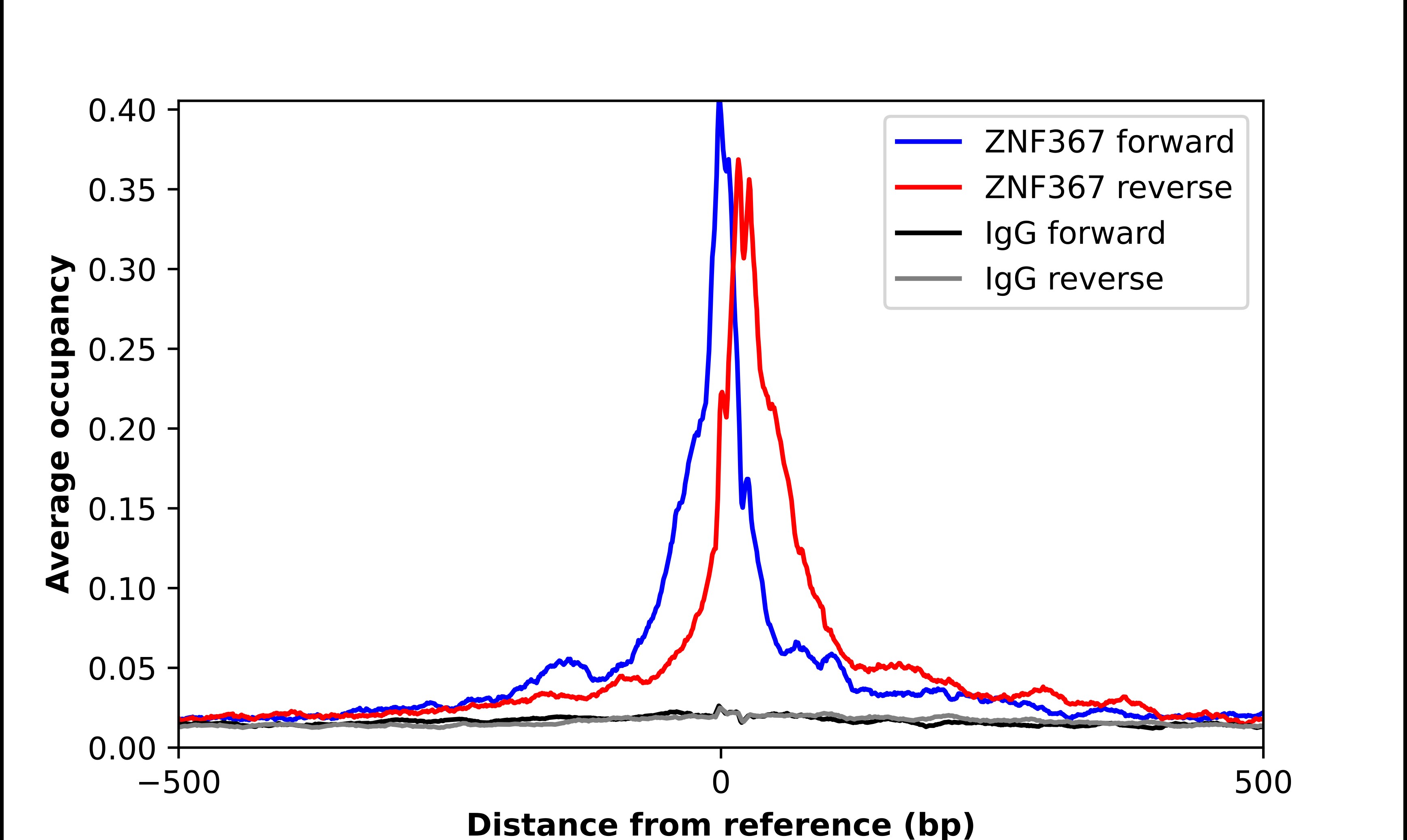 ZNF367 Antibody - BSA Free Chromatin Immunoprecipitation ChIP: ZNF367 Antibody - BSA Free