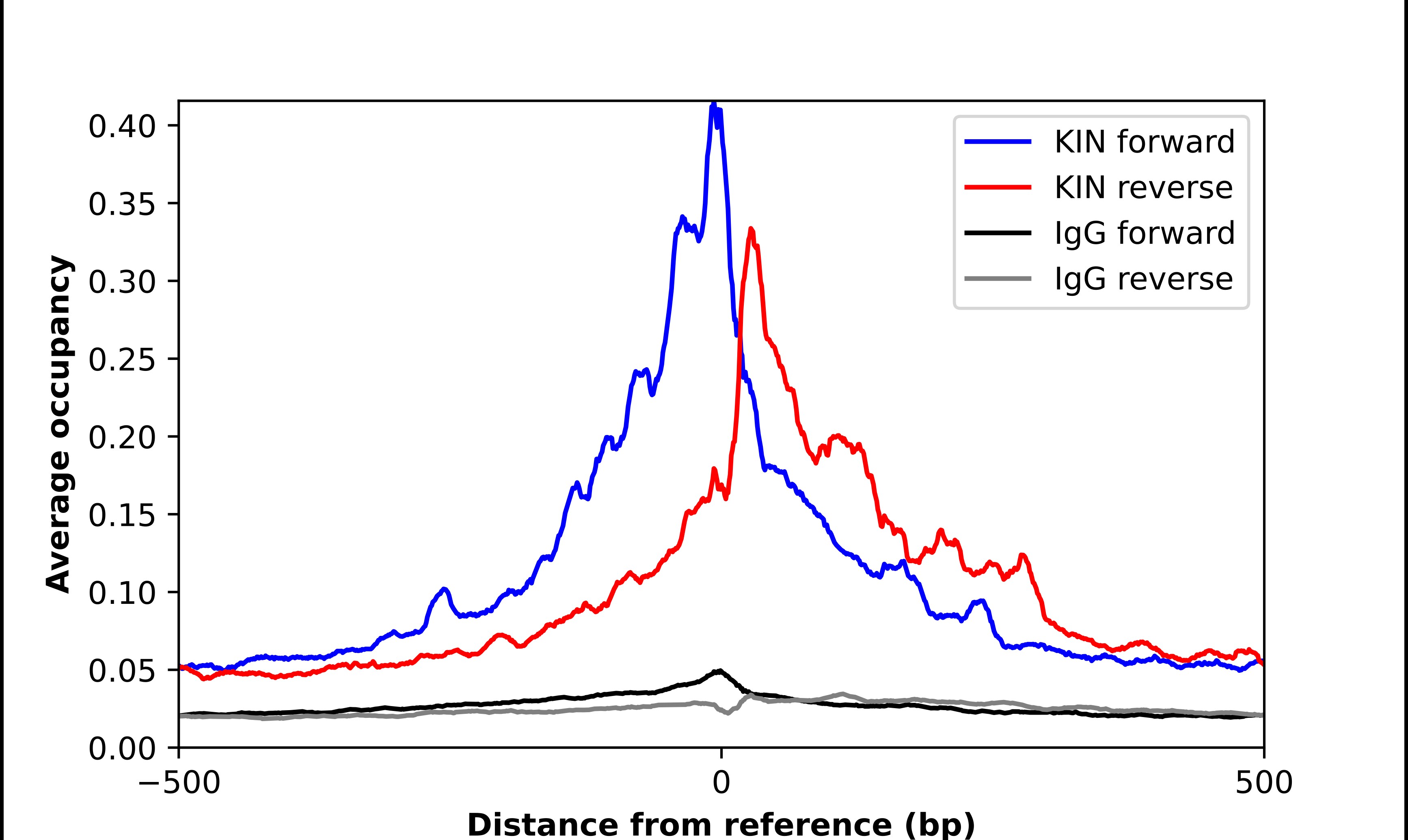 KIN Antibody - BSA Free Chromatin Immunoprecipitation-exo-Seq: KIN Antibody - BSA Free [NBP2-58750]