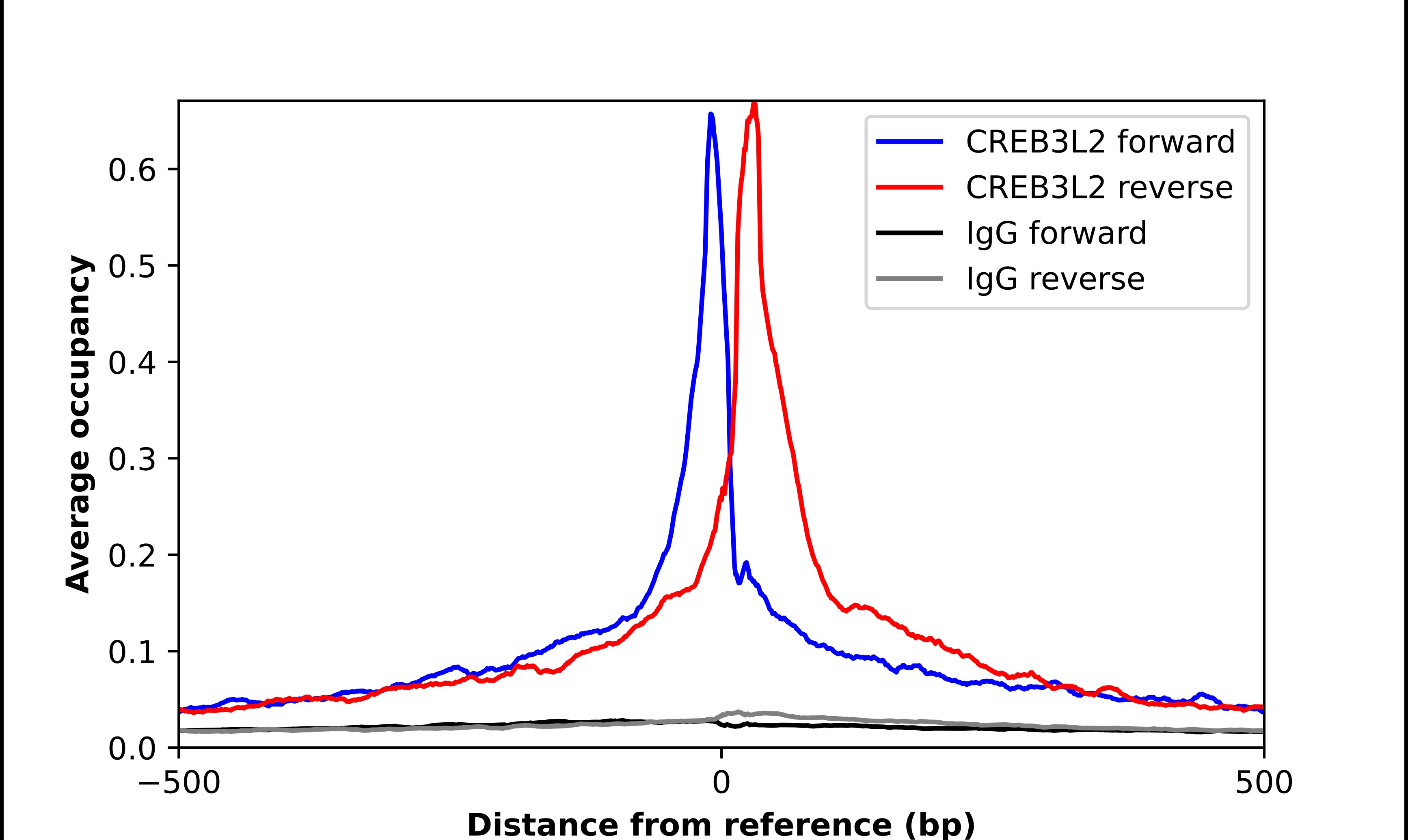 CREB3L2 Antibody - BSA Free Chromatin Immunoprecipitation ChIP: CREB3L2 Antibody - BSA Free