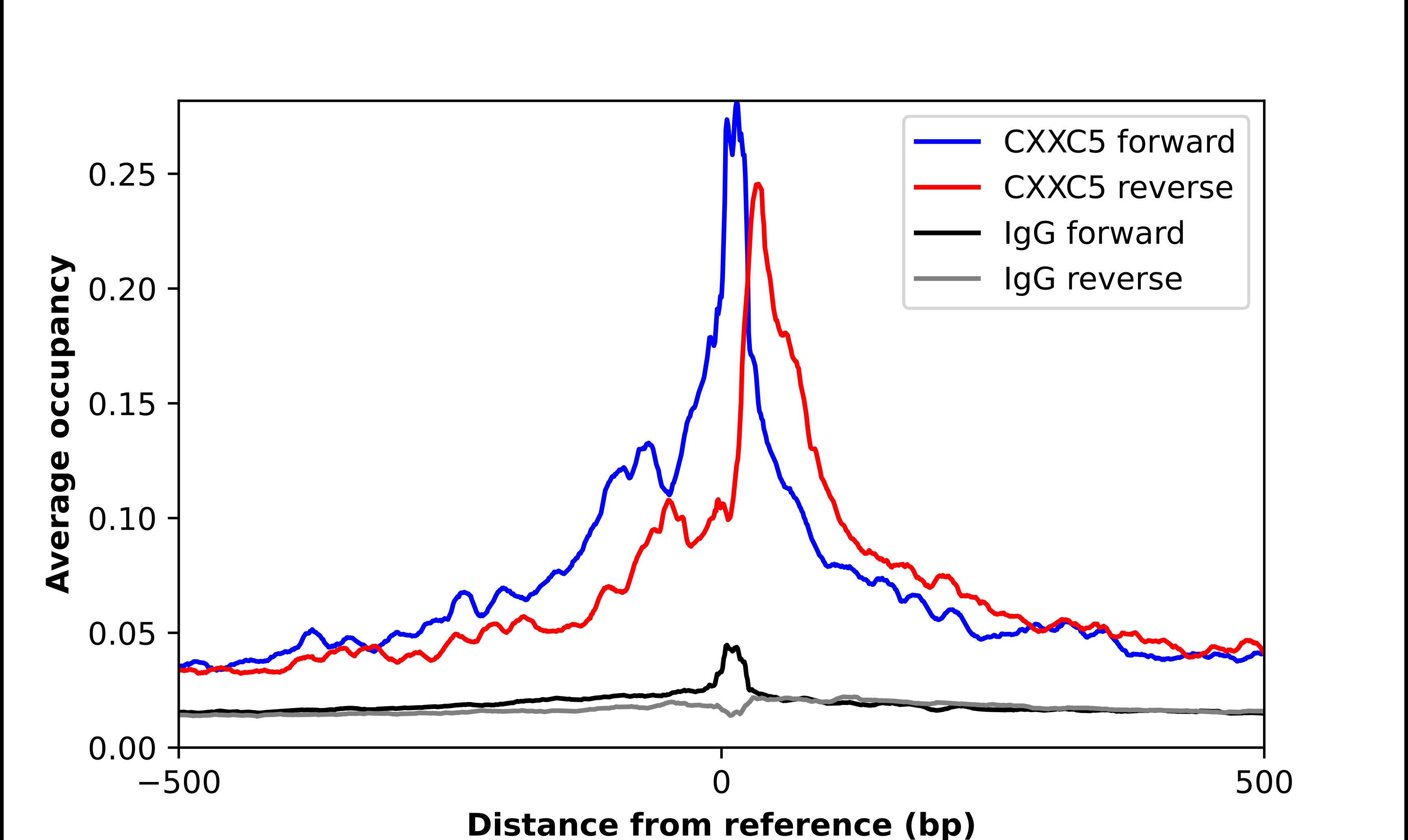 CXXC5 Antibody - BSA Free Chromatin Immunoprecipitation ChIP: CXXC5 Antibody - BSA Free
