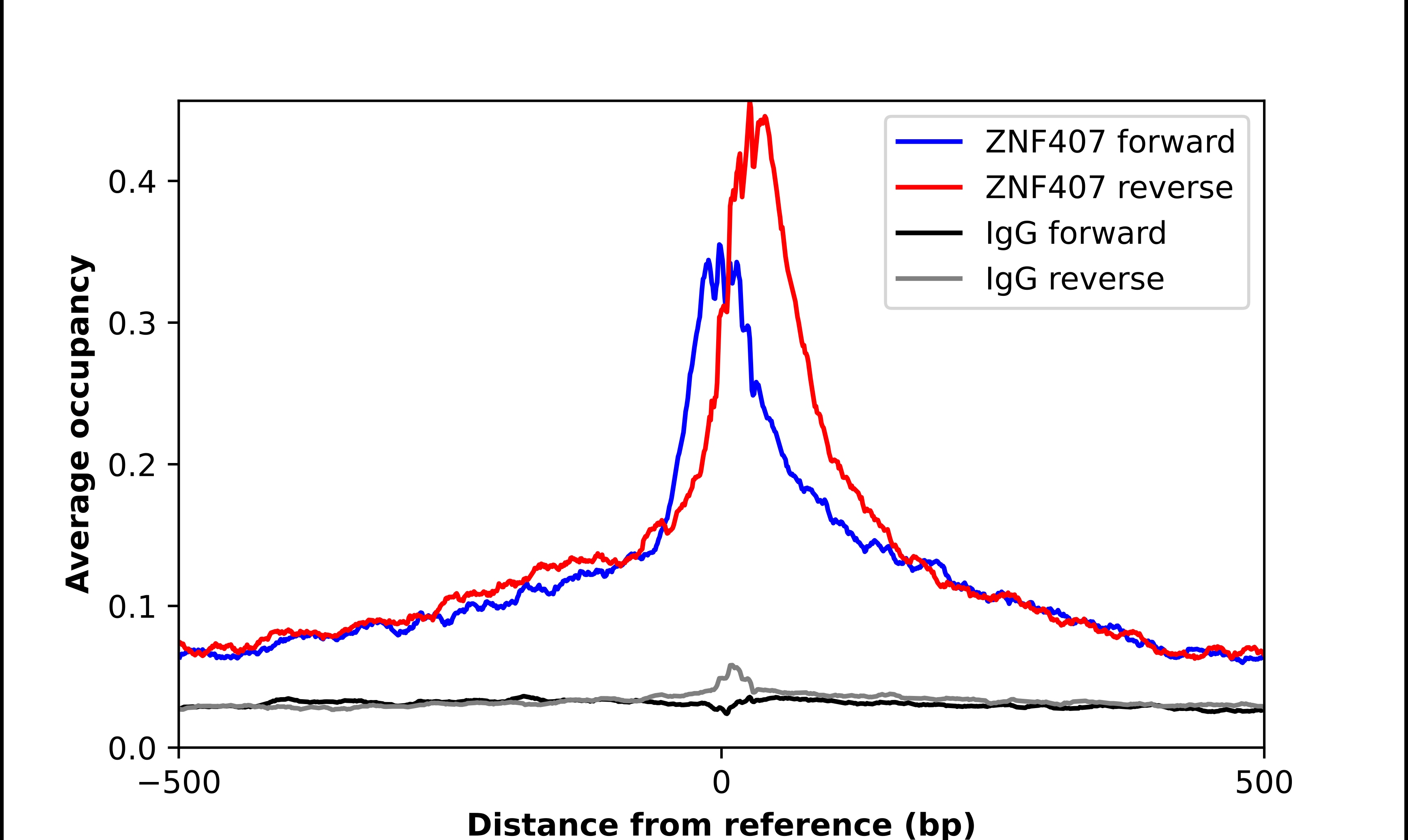 ZNF407 Antibody - BSA Free Chromatin Immunoprecipitation-exo-Seq: ZNF407 Antibody - BSA Free [NBP2-58974]