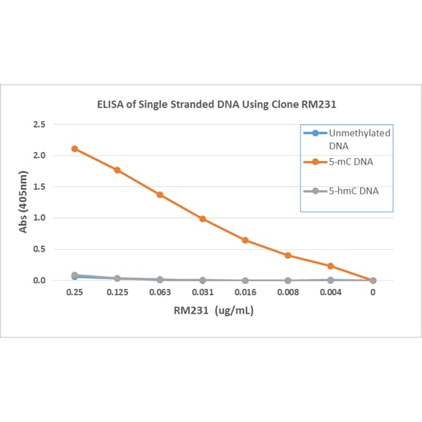 5-MethylCytosine Antibody (RM231)