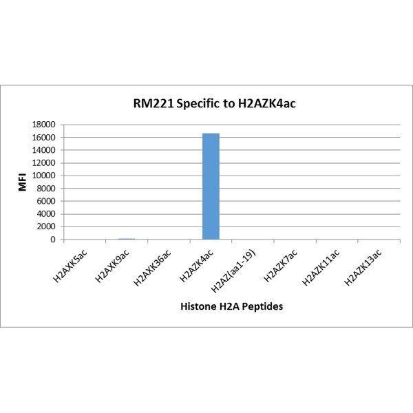Histone H2A.Z [ac Lys4] Antibody (RM221)