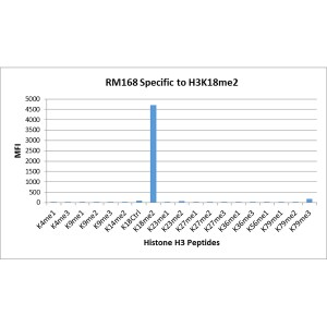 Histone H3 [Dimethyl Lys18] Antibody (RM168)