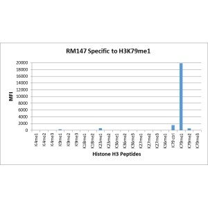 Histone H3 [Monomethyl Lys79] Antibody (RM147)