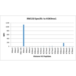 Histone H3 [Monomethyl Lys9] Antibody (RM150)