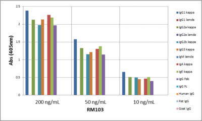 Kappa Light Chain Antibody (RM103)