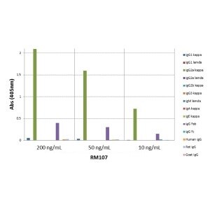 IgG2a Kappa Antibody (RM107) [Biotin]
