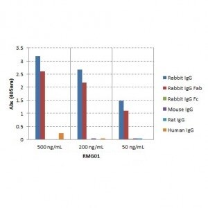 IgG F(ab) Antibody (RMG01) [Biotin]