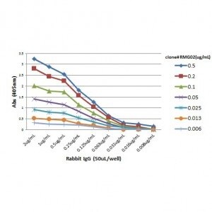 IgG Fc Antibody (RMG02)