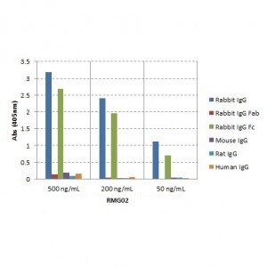 IgG Fc Antibody (RMG02) [Biotin]