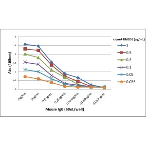 IgG F(ab) Antibody (RMG05) [Biotin]