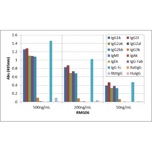 IgG Fc Antibody (RMG06)
