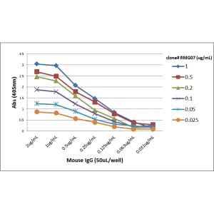 IgG Antibody (RMG07)