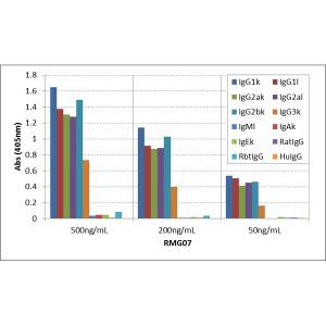 IgG Antibody (RMG07)