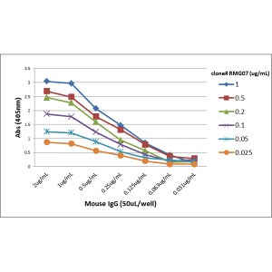 IgG Antibody (RMG07) [Biotin]
