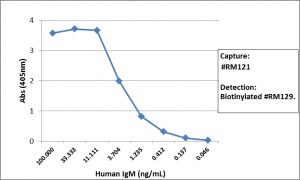 IgM Antibody (RM121)