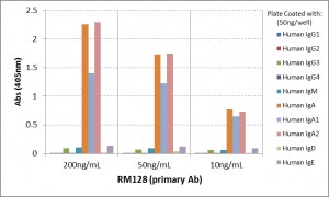 IgA Antibody (RM128)