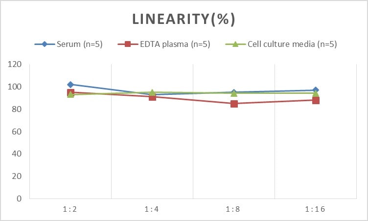Human MICA ELISA Kit (Colorimetric)