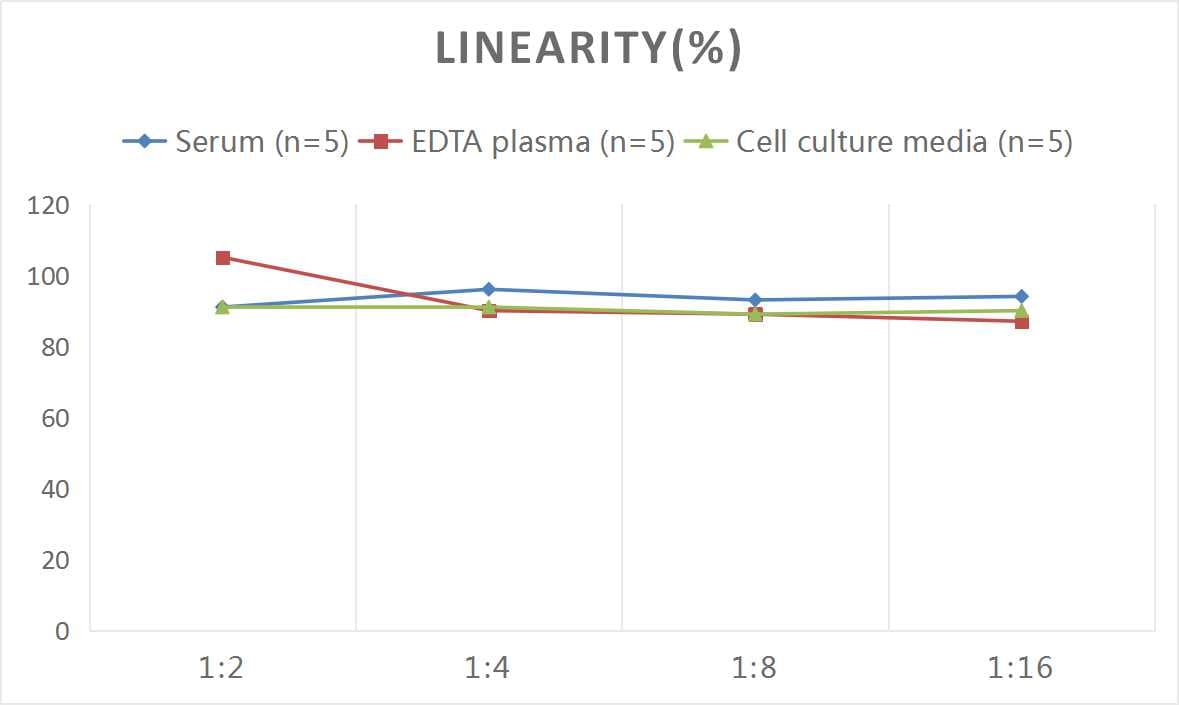 Human Indoleamine 2,3-dioxygenase/IDO ELISA Kit (Colorimetric)