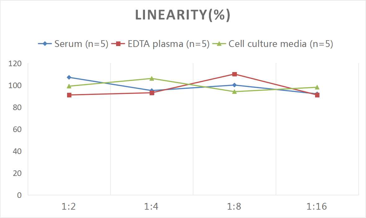 Human BMP-4 ELISA Kit (Chemiluminescence)