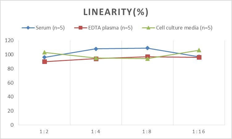 Human 26S Proteasome ELISA Kit (Chemiluminescence)