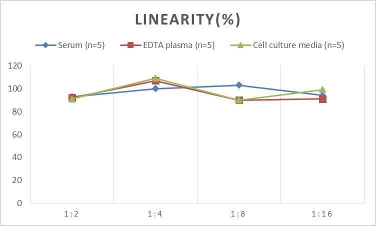 Human 5'-Nucleotidase/CD73 ELISA Kit (Chemiluminescence)